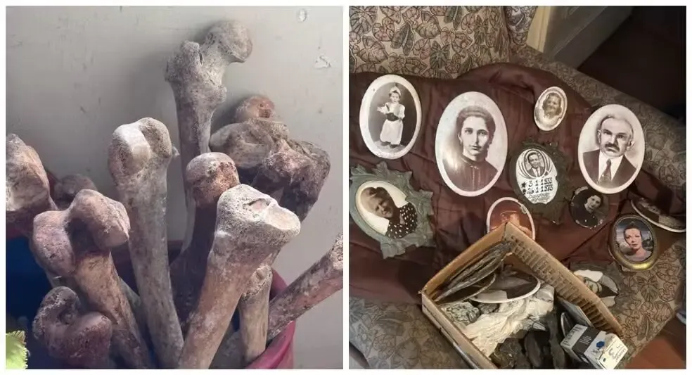 Família encontra mais de 10 crânios e ossos humanos ao limpar apartamento de parente falecido