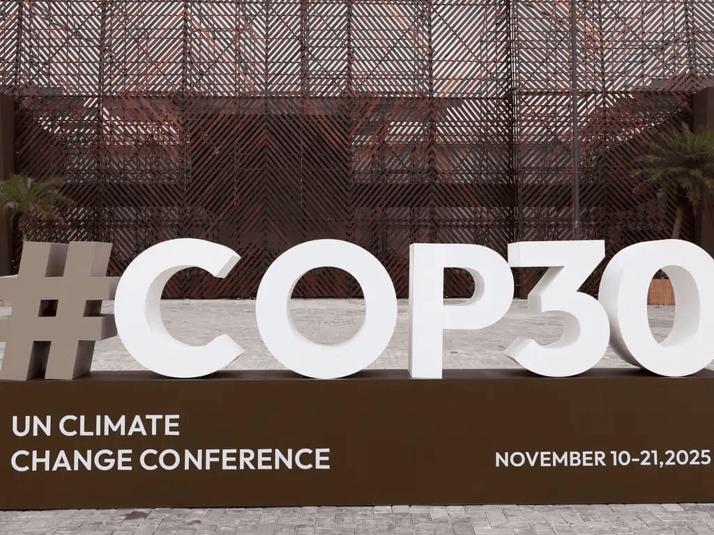 Volta ao normal: após a COP30, governo do Pará corta recursos do Meio Ambiente