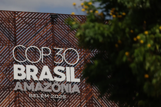 Indulto de 2025 pode liberar crimes ambientais e tráfico privilegiado no ano da COP30