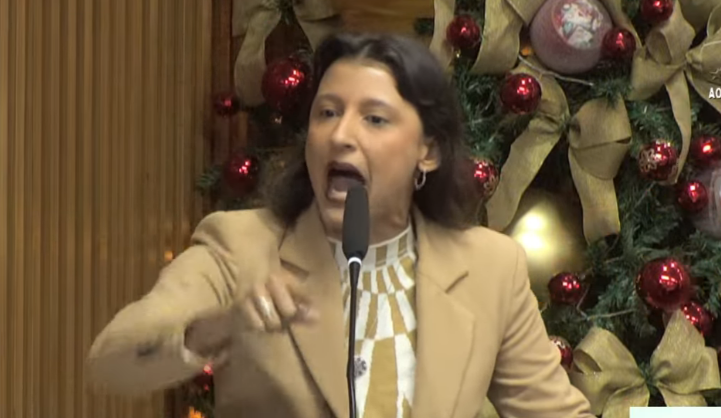 O que diz a denúncia protocolada por Eliabe contra a vereadora Brisa Bracchi