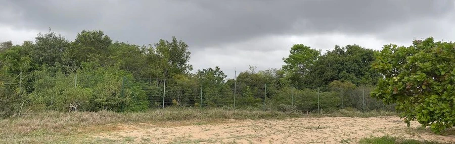 Emparn prevê chuvas dentro da normalidade no RN até maio