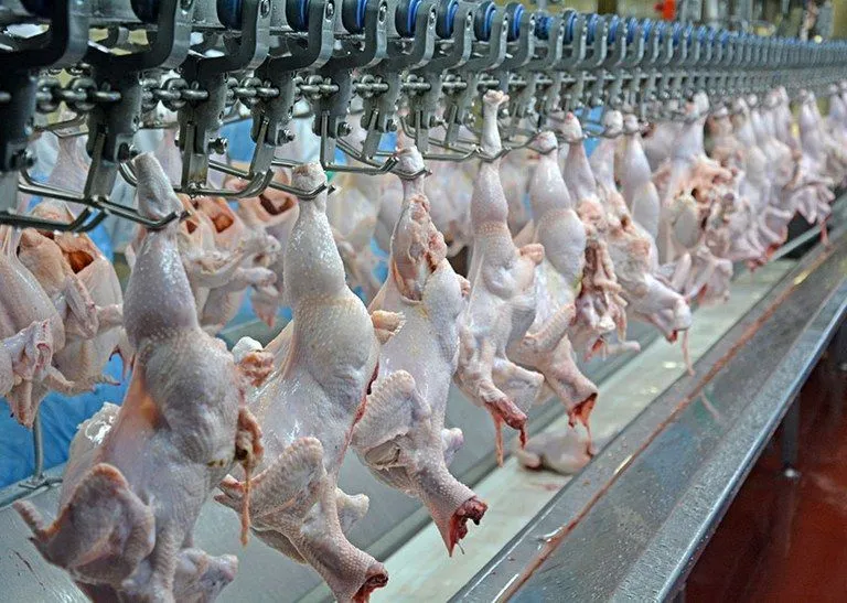 Conflito no Oriente Médio pode afetar exportação de carnes do Brasil
