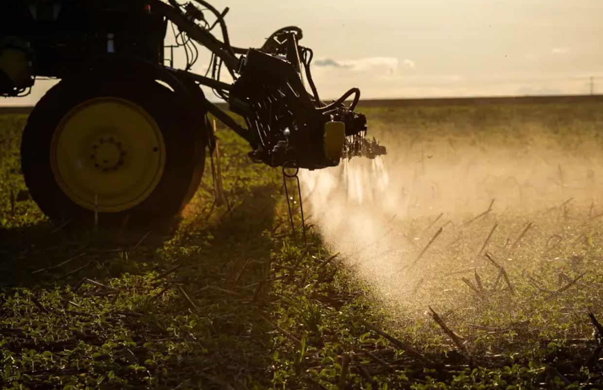 Guerra no Oriente Médio ameaça fertilizantes e pode alavancar preço de feijão, arroz e ovo