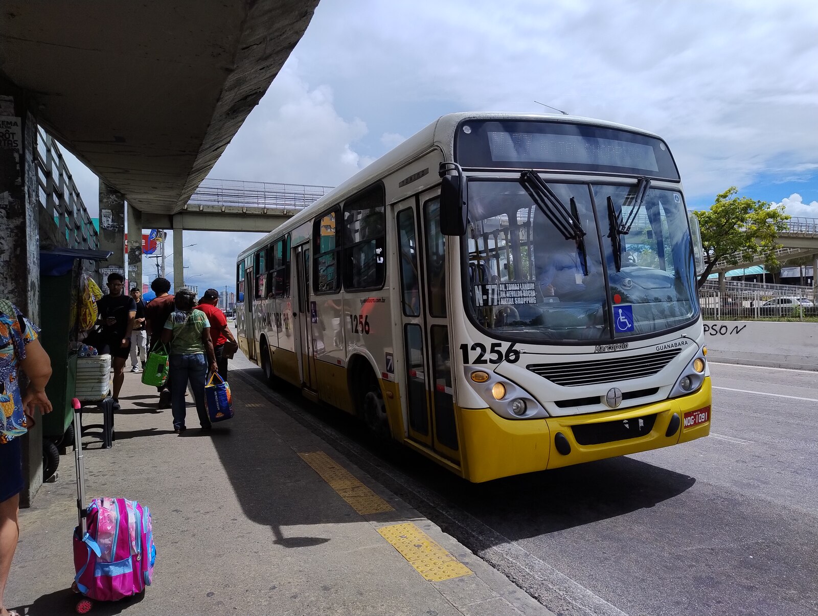 Transporte público grátis aos domingos começa a valer em Natal com reforço na frota