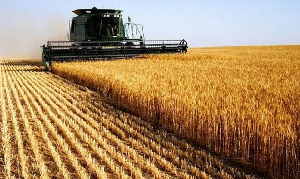 Tarifaço dos EUA pode elevar custos do agro brasileiro, mesmo para produtos isentos