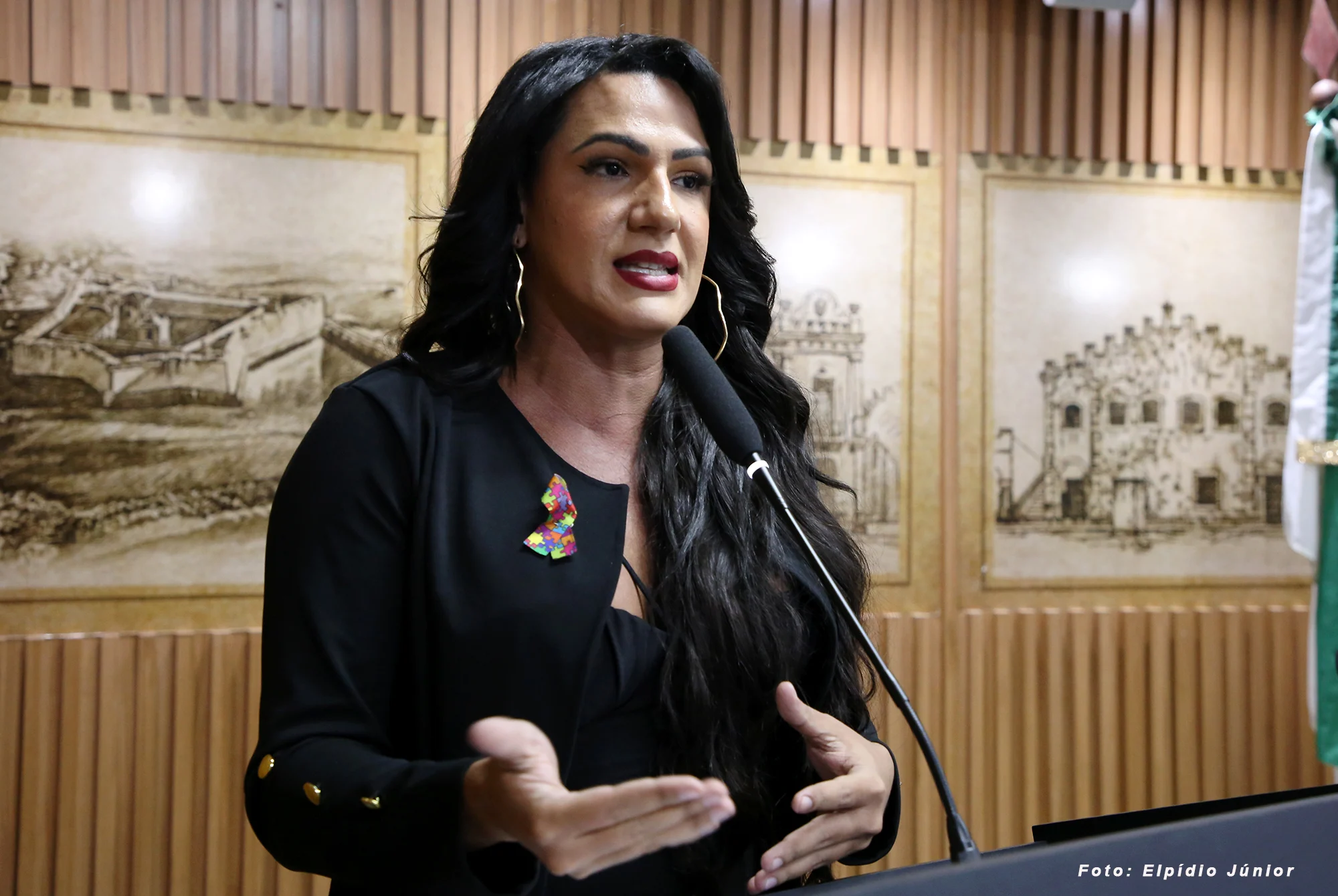 FOGO NO PARQUINHO: Thabatta diz que aliados de candidatos da própria federação tentam tirar votos dela