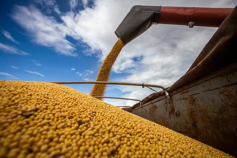 Produção de grãos deve alcançar 361,7 milhões de toneladas na 2025/26, aponta Conab
