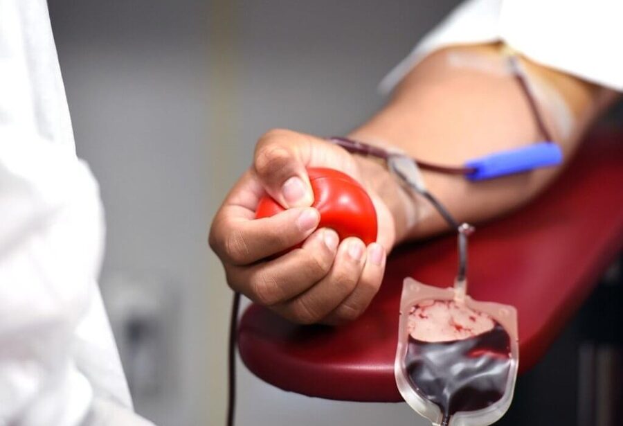 Natal sanciona lei que dá prioridade a doadores de sangue em filas de shows e eventos