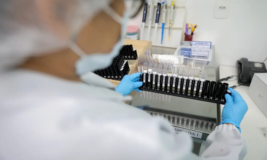 Anvisa autoriza testes em humanos de vacina contra malária 100% brasileira